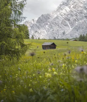 Wanderhotel Südtirol AMA Stay Kronplatz