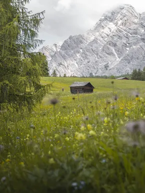 Wanderhotel Südtirol AMA Stay Kronplatz