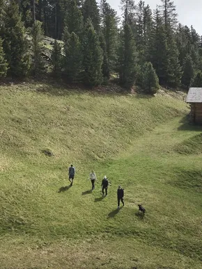 AMA Stay Sommer 071 1