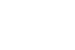 Logo Vireo Certification